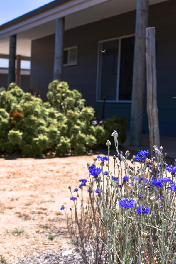 Bremer Bay B&B Exterior photo